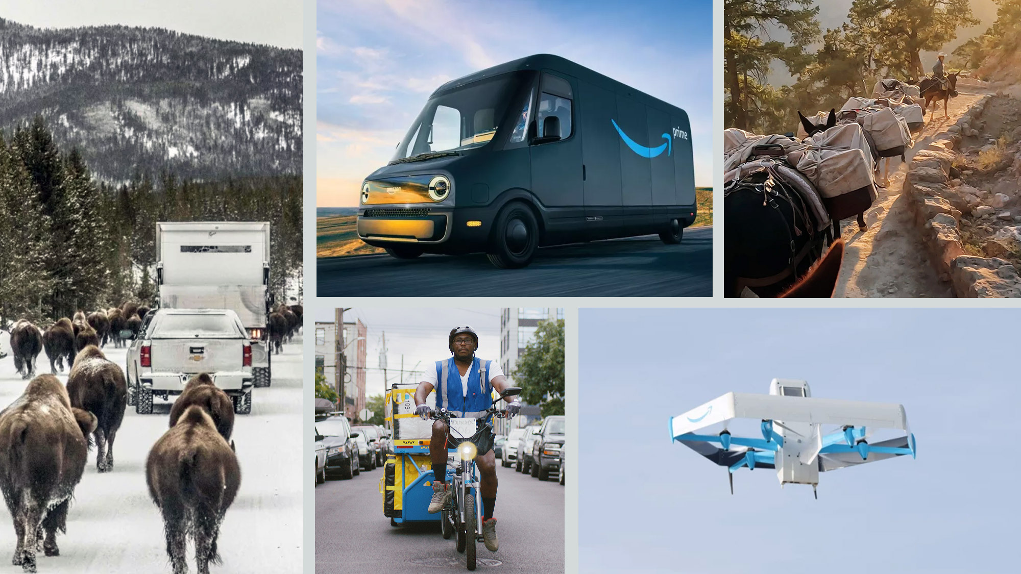 a collage of five different unique amazon delivery methods: a rivian van driving down a road, a man riding an e-cargo bike in new york, a pack of mules crossing a bridge, bison following a truck in yellowstone, and a prime air drone